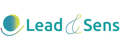 Lead&Sens Conseil Stratégies